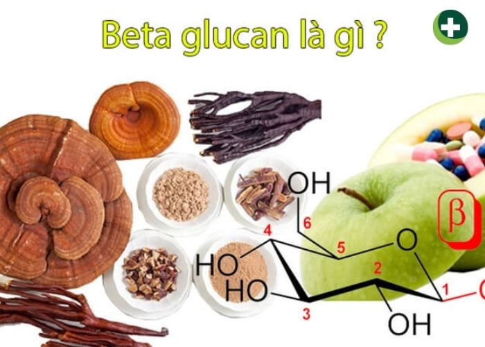 Beta Glucan là gì? Tìm hiểu tác dụng, cách dùng, tác dụng phụ